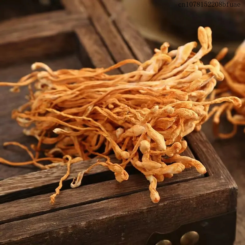 Flores de Cordyceps Secas 250g - Dried Herbs avaliação e preço